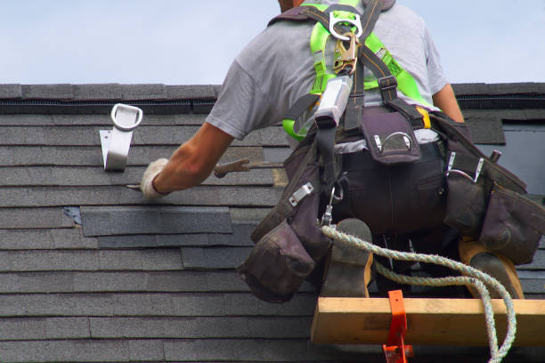 Best Roof Gutter Cleaning  in Panacea, FL